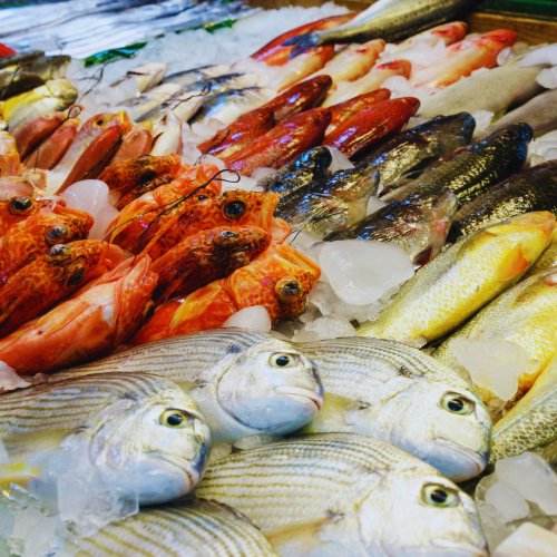 Peixes Frescos de Qualidade | Carapau, Merluza, Cachucho | JS Comercial