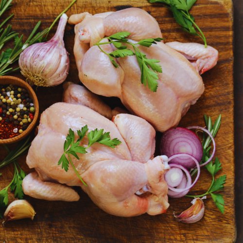 Frangos Premium JS Comercial: Seara, Perdix e Miglio | Guia Completo